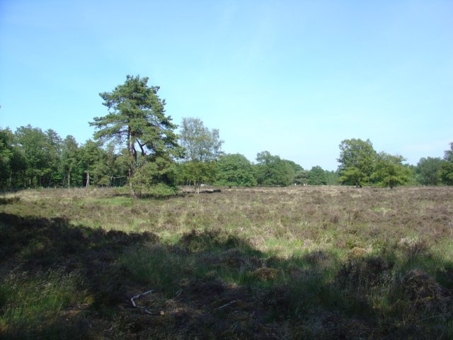TerApel 018.jpg